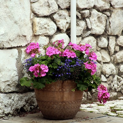 Voyez notre sélection de pots décoratifs en rabais - chez Jardin2M