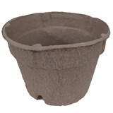 Pot biodegradable - Photo