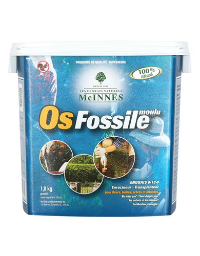 Os fossile(phosphate de roche)