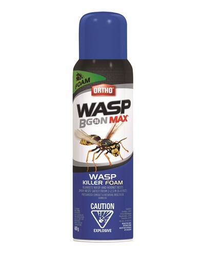 Wasp b gon guepes frelons