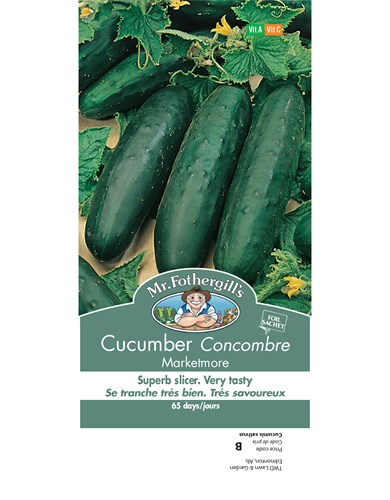 Concombre marketmore