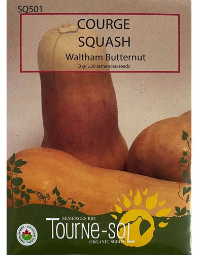Courge musquee waltham (bio)