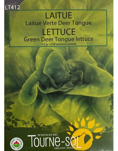 Laitue verte deer tongue (bio)