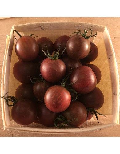 Tomate cerise noire (bio)