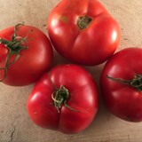 Tomate montreal tasty (bio) - Photo