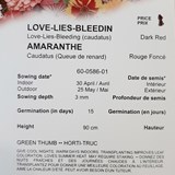 Amaranthe rouge foncé - Photo