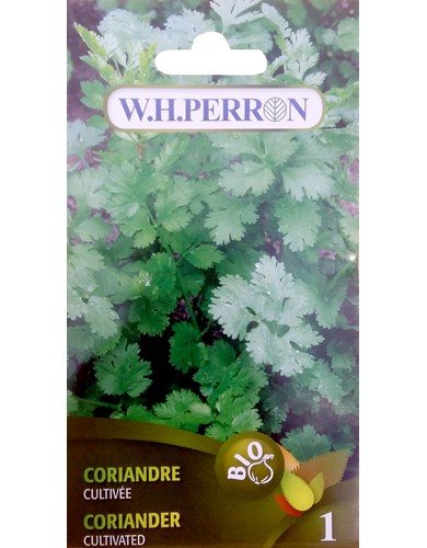 Coriandre cultive (bio)