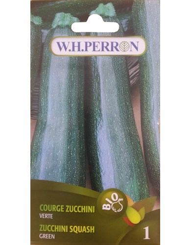 Courge zucchini verte (bio)
